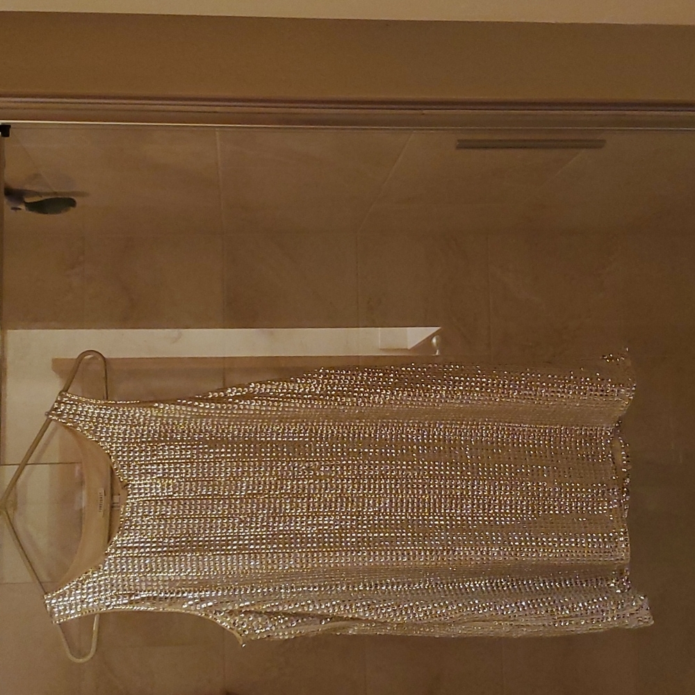 Sparkly Dress